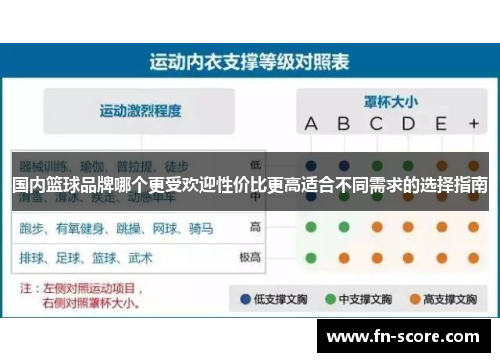 国内篮球品牌哪个更受欢迎性价比更高适合不同需求的选择指南