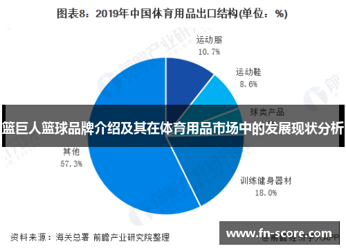 篮巨人篮球品牌介绍及其在体育用品市场中的发展现状分析