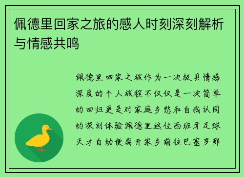 佩德里回家之旅的感人时刻深刻解析与情感共鸣