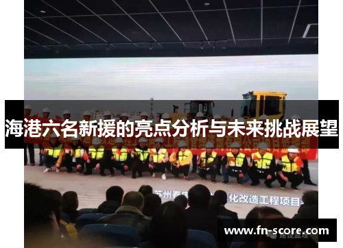 海港六名新援的亮点分析与未来挑战展望
