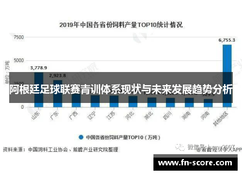 阿根廷足球联赛青训体系现状与未来发展趋势分析
